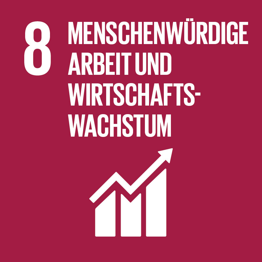 SDG-icon-DE-08.jpg